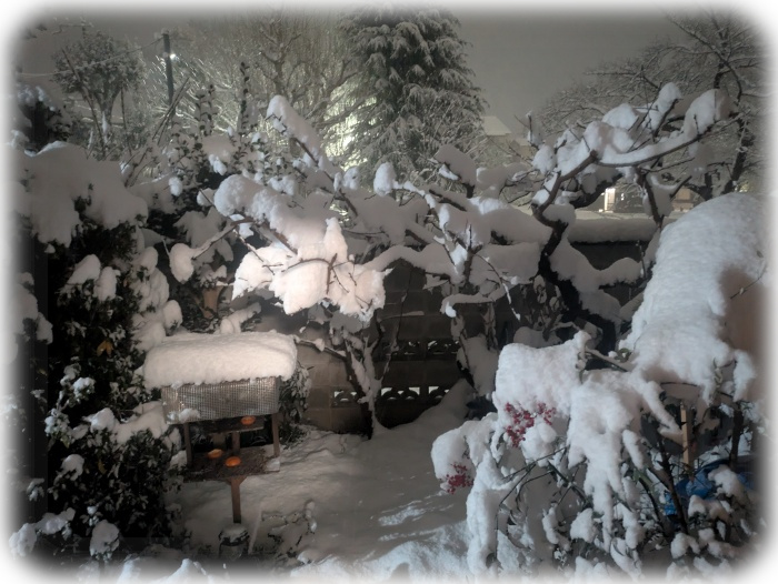 これはこれで綺麗 これはこれで綺麗