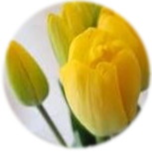 想いつれづれ 想いつれづれ