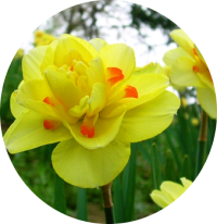 よそほひのこと