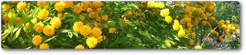 画像の説明 画像の説明